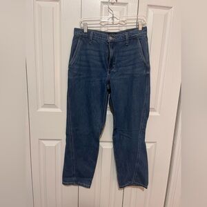 Banana Republic High-Rise Barrel Leg Jean Size 28/6